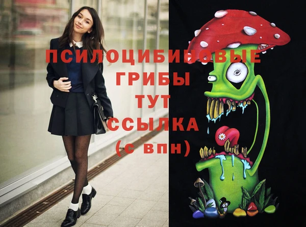 Альфа ПВП Армянск