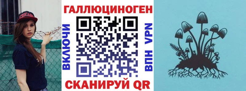 shop Telegram Радужный Галлюциногенные грибы Psilocybe