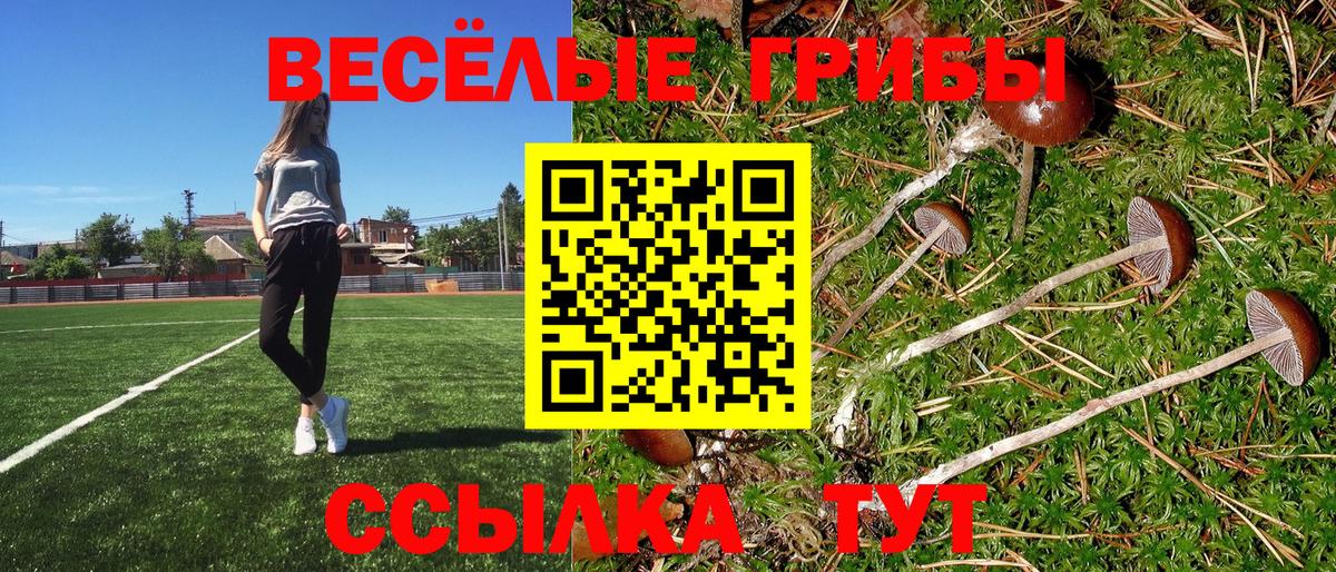 Галлюциногенные грибы Psilocybe  Псилоцибиновые грибы ЛСД  Вход с VPN  Радужный 