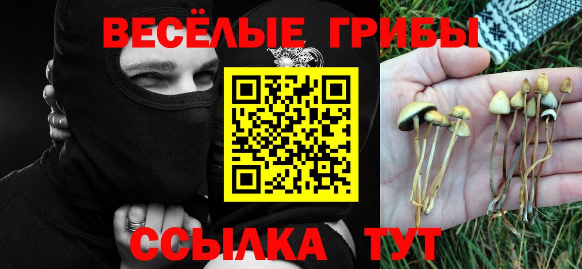 Псилоцибиновые грибы Magic Shrooms Радужный